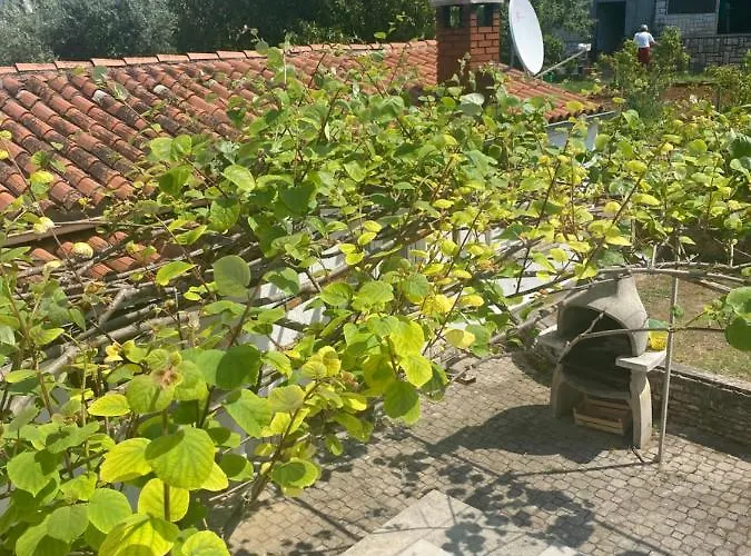 Apartman Nela